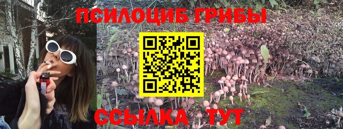 Москва  купить  цена  Вход с VPN  Галлюциногенные грибы ЛСД 
